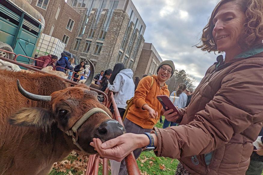 student handfeeds Clarabelle