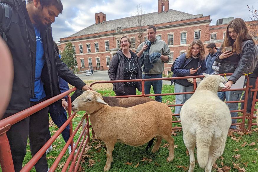 students at Pratt petting zoo