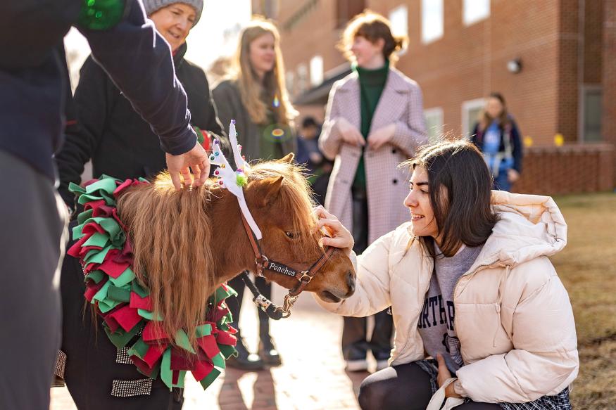 student with a miniature therapy horse