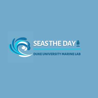 Seas the Day logo