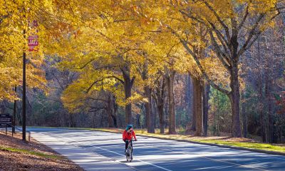A cyclist pedals on a Duke's Campus Drive road during fall