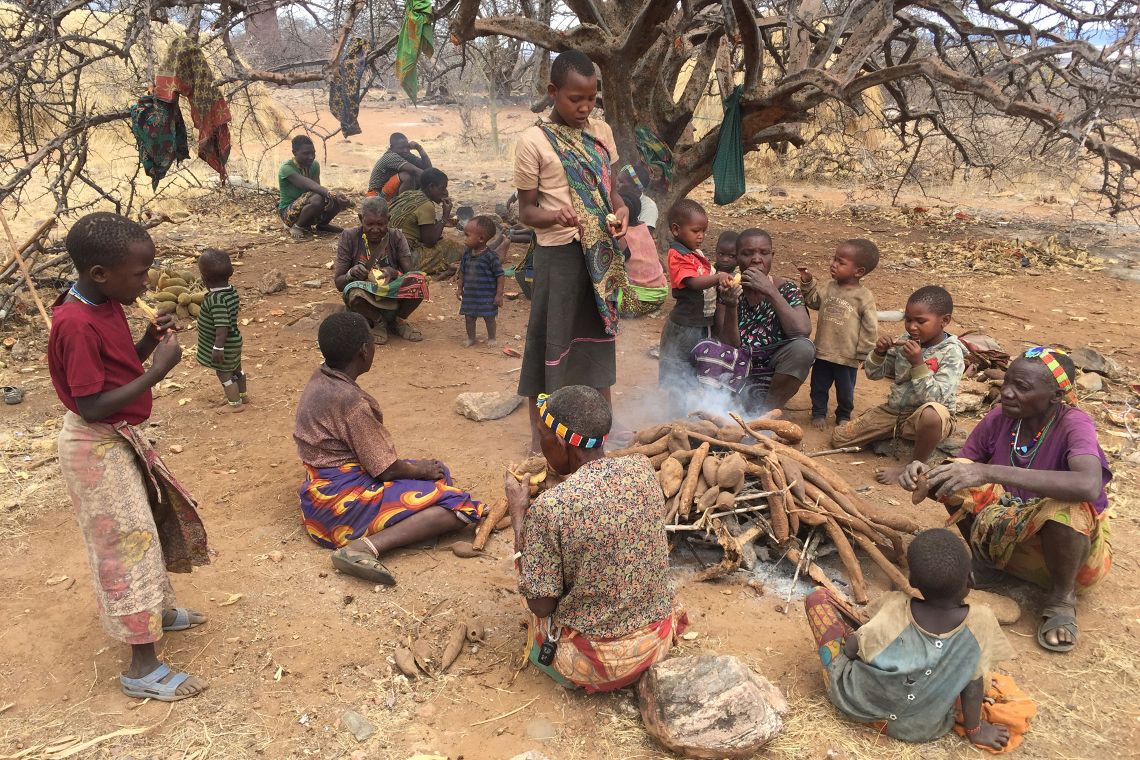 A group of Hadza women share a meal of roasted tubers. Food sharing allows them to spend more energy to find food, knowing they won't starve if they return to camp empty-handed. (Photo - Herman Pontzer)