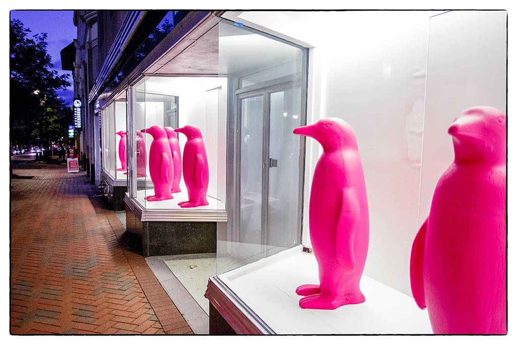Although a recent addition to the Durham scene, the penguins at 21C are already iconic.