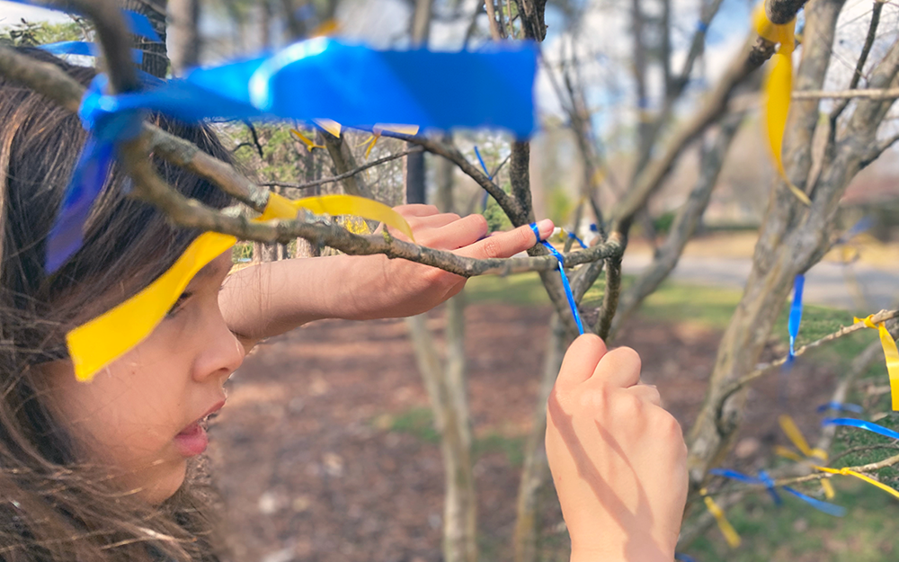 A young girl ties blue and yellow ribbons on a tree to show support for Ukrainians during the Russian invasion.