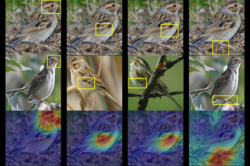 A Duke team trained a computer to identify up to 200 species of birds from just a photo. Given a photo of a mystery bird (top), the A.I. spits out heat maps showing which parts of the image are most similar to typical species features it has seen before.