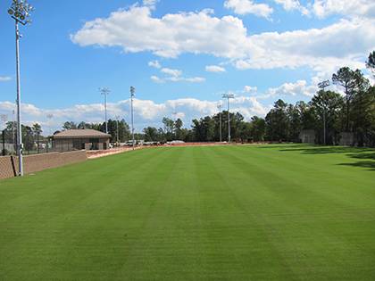Construction crews installed this new, grass field in October. Full construction of the grass field and two turf fields will be complete next month. Photo by Bryan Roth.