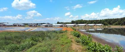 The Duke Carbon Offsets Initiative’s project at Loyd Ray Farms in Yadkinville installed a new synthetically lined and covered anaerobic digester that captures methanegenerated from hog waste, reduces air and water pollution and generates renewable elec