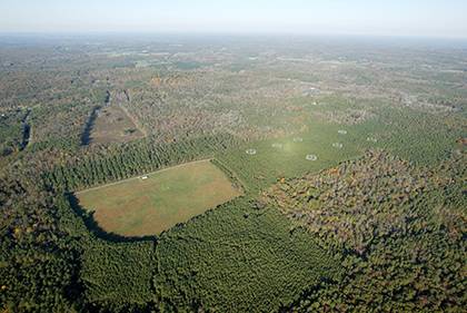 An aerial shot of Duke Forest shows the vast array of trees growing across Duke's campuses and property. The Campus Sustainability Committee has organized a group in 2015 to focus on natural landscapes. Photo courtesy of Mark Hough.