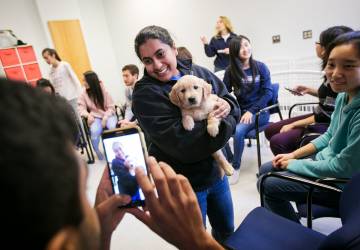 Students helped socialize two 6-week old golden retriever puppies as part of their class. The puppies, MATTOX and CHESSIE, are in training to become assistance dogs through the paws4people foundation. Photo by Megan Mendenhall/Duke Photography
