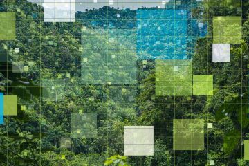 graphic showing a forest divided into visual research squares