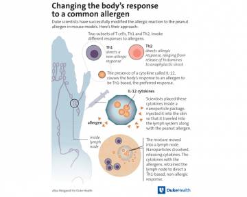 Changing the body's response to common allergen