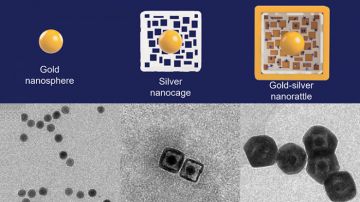 nanorattles used by Pratt researchers