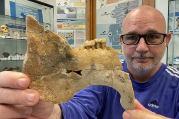Steven Heritage, a researcher at the Duke Lemur Center’s Museum of Natural History, holds the 33-million-year-old fossil mandible of an extinct sea cow which is related to modern manatees. (Catherine Riddle)