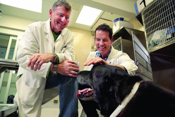 Duke oncologist and veterinarian Will Eward (right) with veterinary oncologist Steven Suter and cancer patient Deuce.