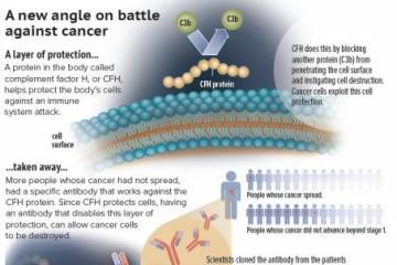 A new angle on battle against cancer