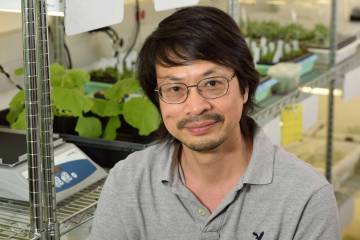 Sheng-Yang He is among the first new faculty recruited to Duke with assistance from a fund created by the Duke Endowment to advance faculty hiring in the sciences, addressing global issues such as climate change and epidemic diseases. Michigan State Univ.