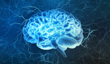 graphic of human brain showcasing neurological behavior