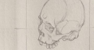 student drawing of skull in anatomy class