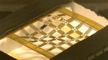 The individual golden, snake-like beams are just eight micrometers thick—about the thickness of a cotton fiber—and less than a millimeter wide. The lightness of the beams allows magnetic forces to easily and rapidly deform them.