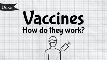 cover image for vaccine video on how vaccines work